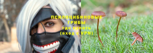 PSILOCYBIN Богородск