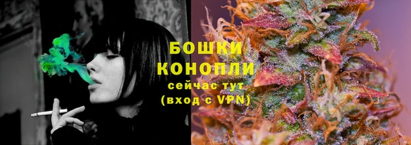 PSILOCYBIN Богородск